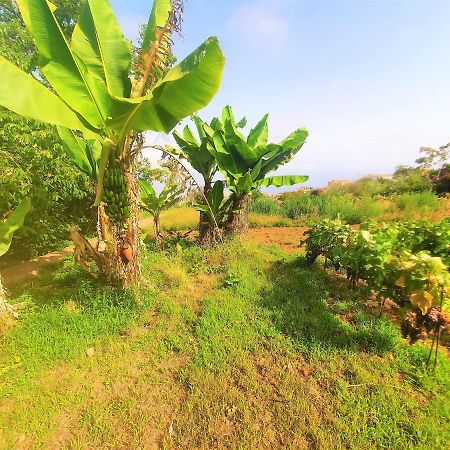 Casa En Finca Ecologica - Wifi ลาโอโรตาวา ภายนอก รูปภาพ