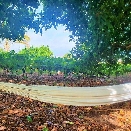 Casa En Finca Ecologica - Wifi ลาโอโรตาวา ภายนอก รูปภาพ