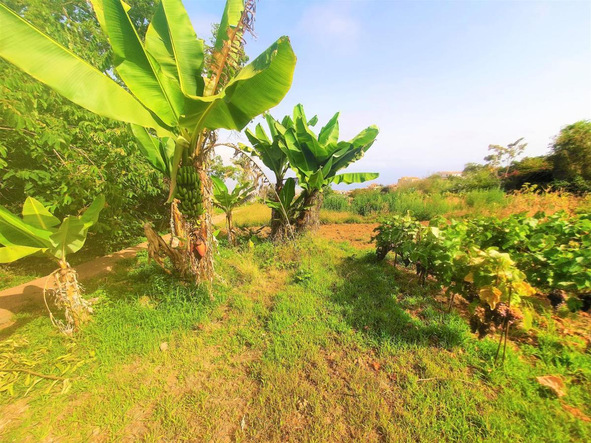 Casa En Finca Ecologica - Wifi ลาโอโรตาวา ภายนอก รูปภาพ
