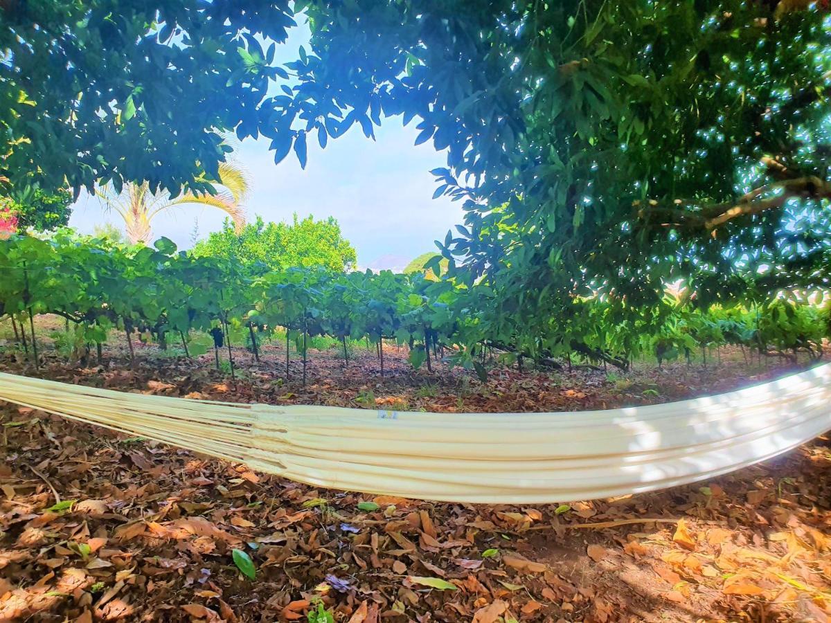 Casa En Finca Ecologica - Wifi ลาโอโรตาวา ภายนอก รูปภาพ