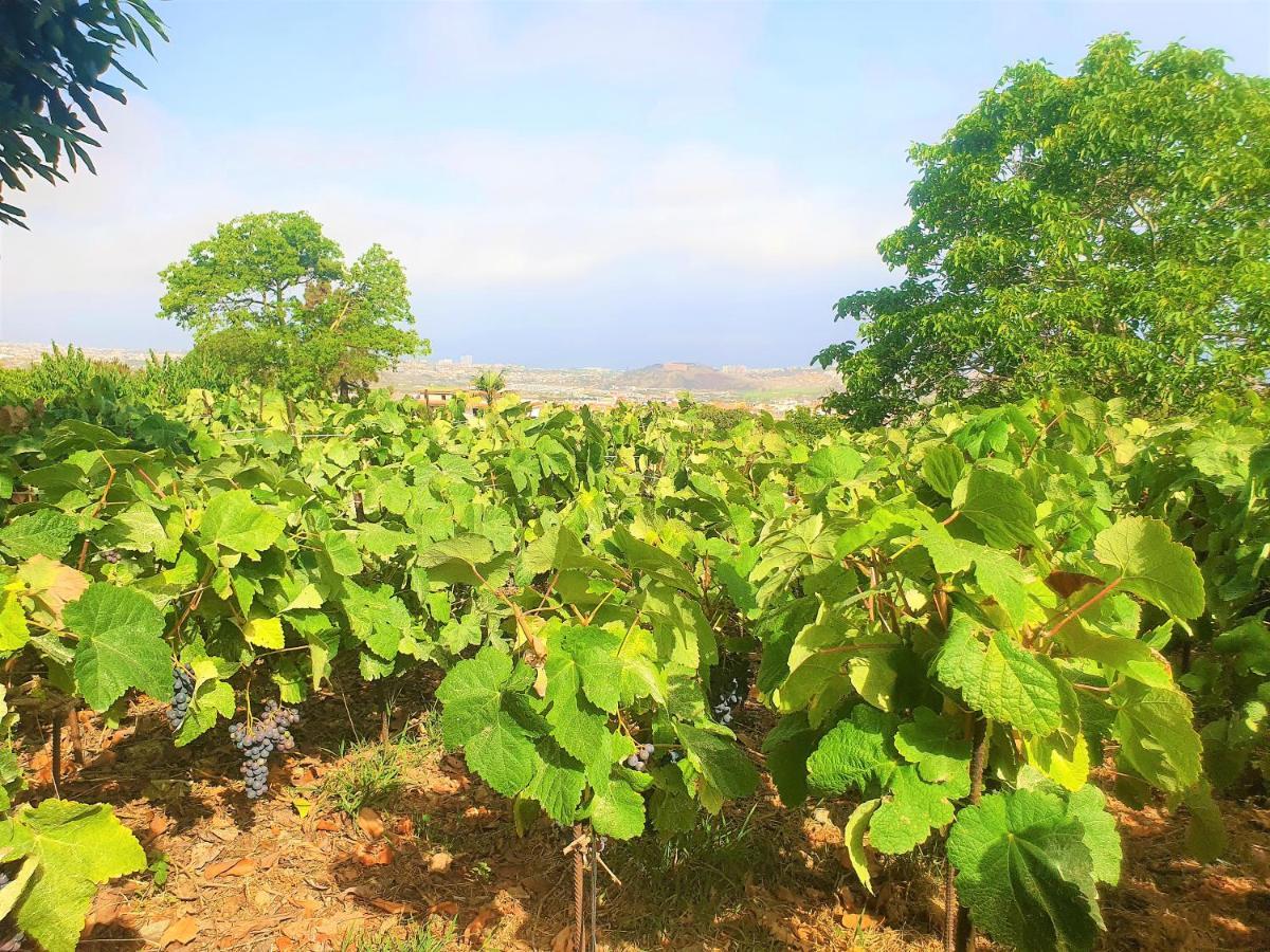 Casa En Finca Ecologica - Wifi ลาโอโรตาวา ภายนอก รูปภาพ
