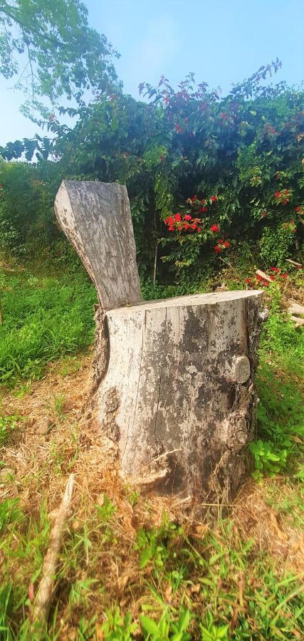 Casa En Finca Ecologica - Wifi ลาโอโรตาวา ภายนอก รูปภาพ