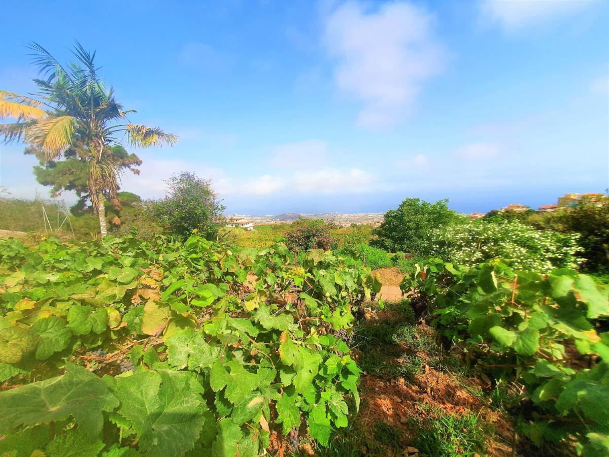 Casa En Finca Ecologica - Wifi ลาโอโรตาวา ภายนอก รูปภาพ