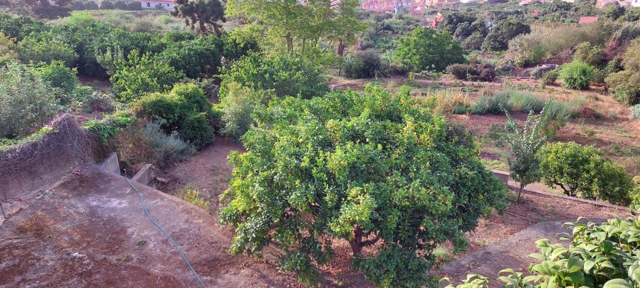 Casa En Finca Ecologica - Wifi ลาโอโรตาวา ภายนอก รูปภาพ