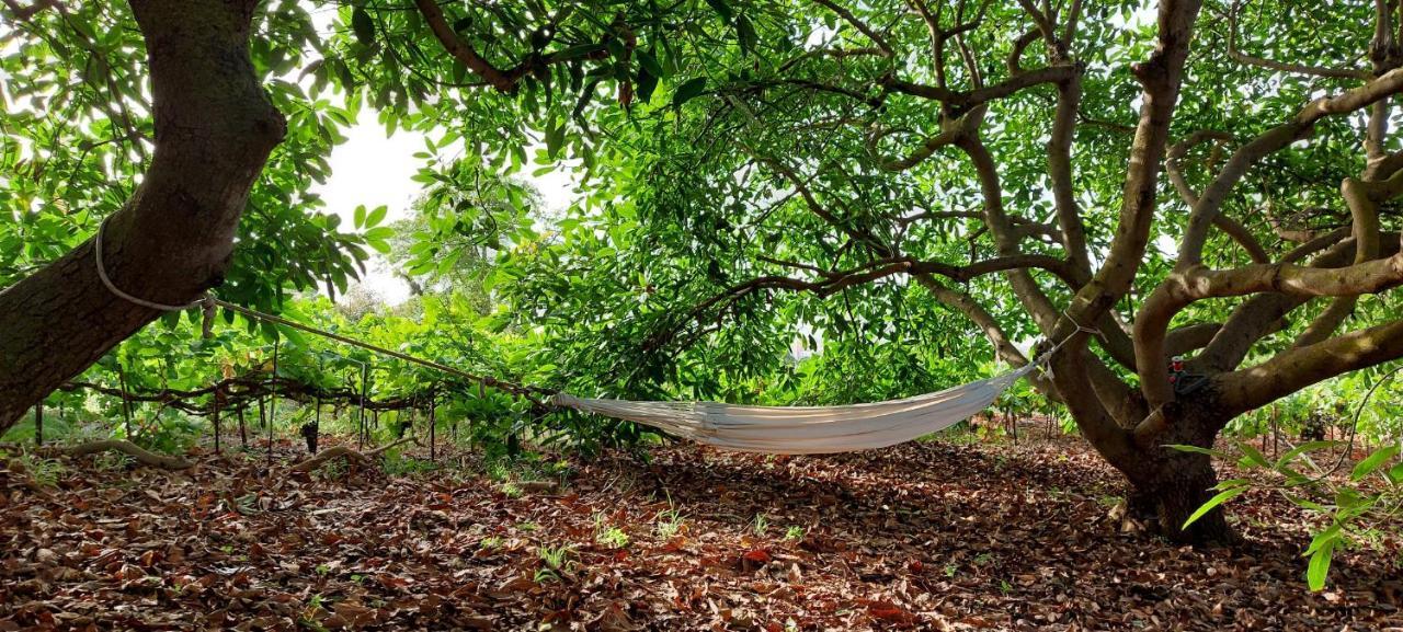 Casa En Finca Ecologica - Wifi ลาโอโรตาวา ภายนอก รูปภาพ